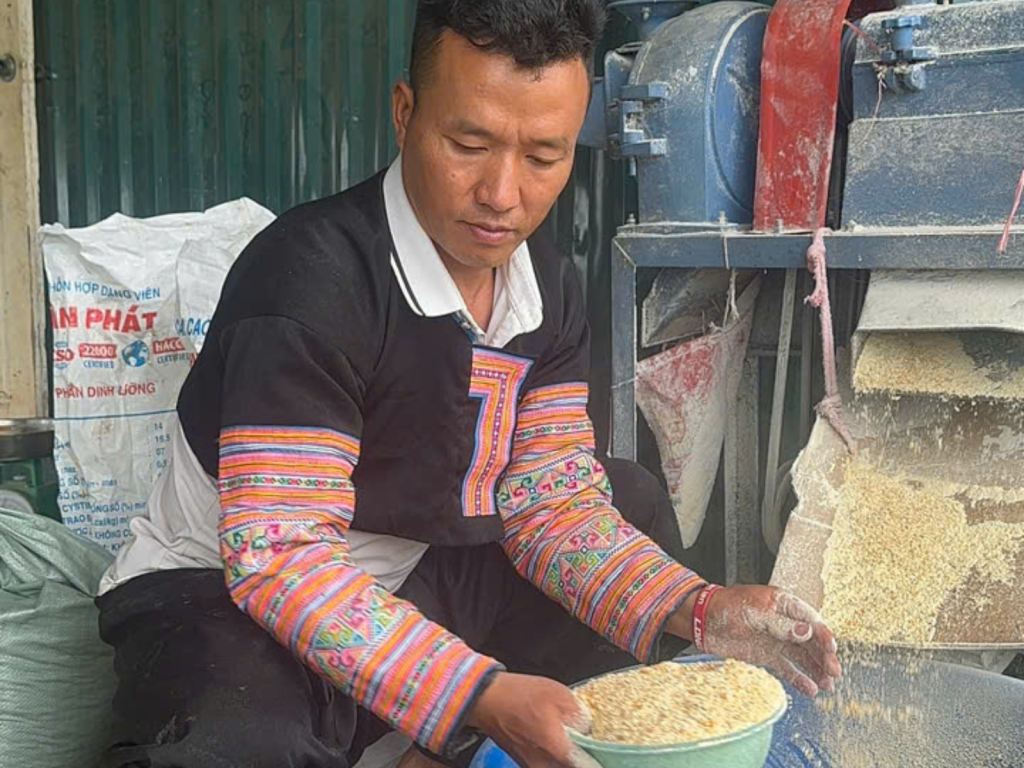 Phòng bệnh và xử lý đàn gà bất thường
