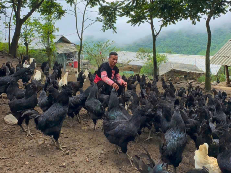 Bố trí máng ăn, máng uống và giữ nước sạch