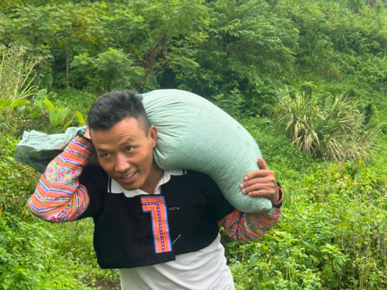 Cách nhìn hành vi đàn gà con để điều chỉnh nhiệt