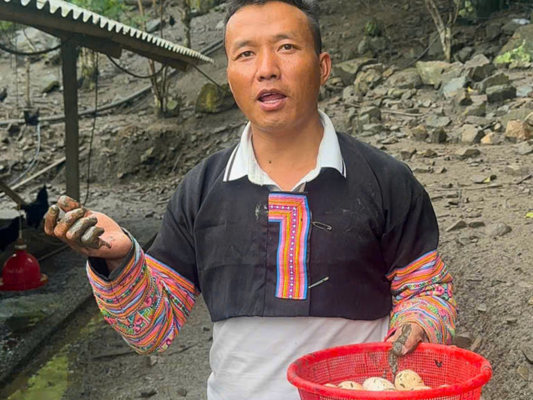 Chuẩn bị khu úm trước khi gà con về