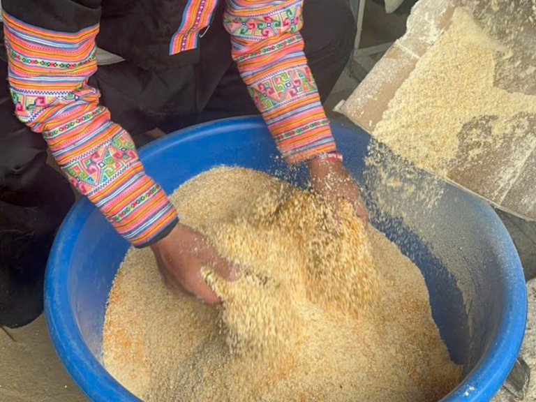Giảm chi phí thức ăn mà đàn gà không chậm lớn